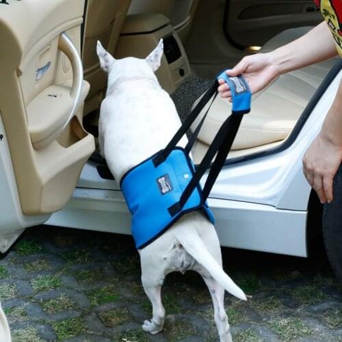 Portable Dog Sling Harness For Back Leg Hip Support Harness to Help Lift Dog Rear For Canine Aid Old Dog Ligament Rehabilitation