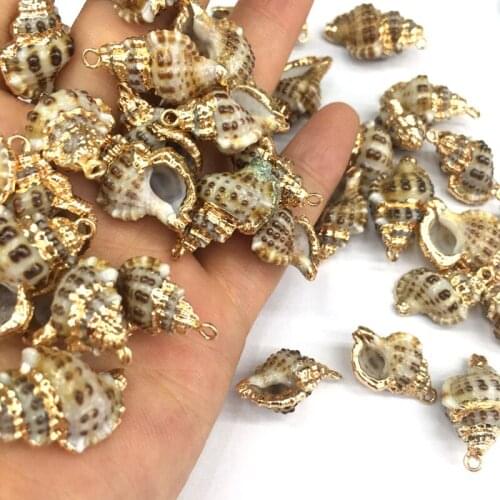 3Pcs Natural Shell Pendants Conch Sea Shell Charms Pendant for DIY Necklace Bracelet Making Jewelry Findings Size 13x20-40x48mm