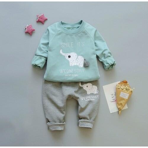 Baby Boy Clothes Set2021 New Autumn Spring Clothing Animal T-shirts + Pants 2 Pcs Suit Toddler Kids Cotton Clothes Sets