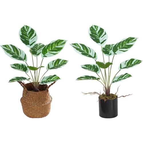 Modern Plastic Artificial Arrowroot Bonsai Fake Potted Plants Flower Arrangement Living Room Party Decoration