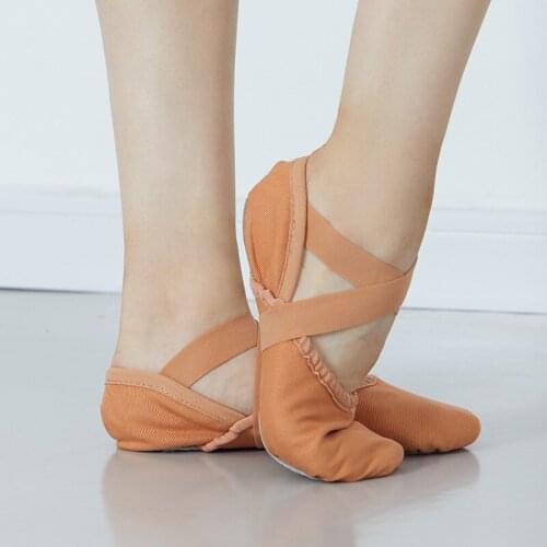 Sansha France Sansha Ballet Practice Shoes Stretch Canvas Imported Roasted Leather Two Bottom Soft Shoes Dancing Shoes