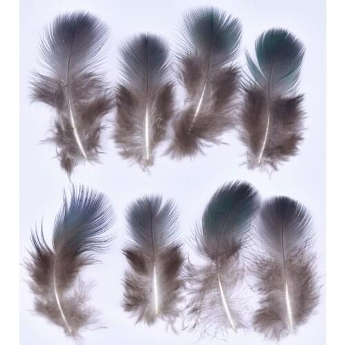20pcs/Lot Naturelles Blue Peacock Feathers for Needlework 1-3"/3-8CM Craft Handicraft Accessories Peacock Feather Decor Carnival