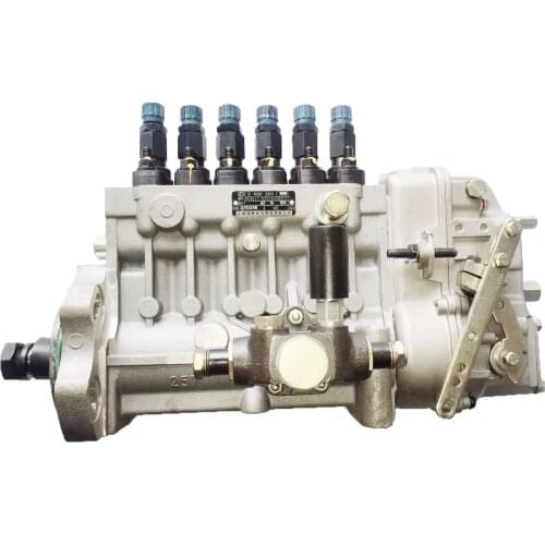 Diesel Fuel Injection Pump 9400366668 For SDEC POWER
