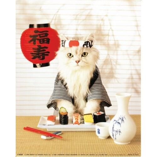 60" x 80" Blanket Comfort Warmth Soft Plush Throw for Couch Sushi Cat Japanese Cute Funny Kitten soft blanket cute blanket