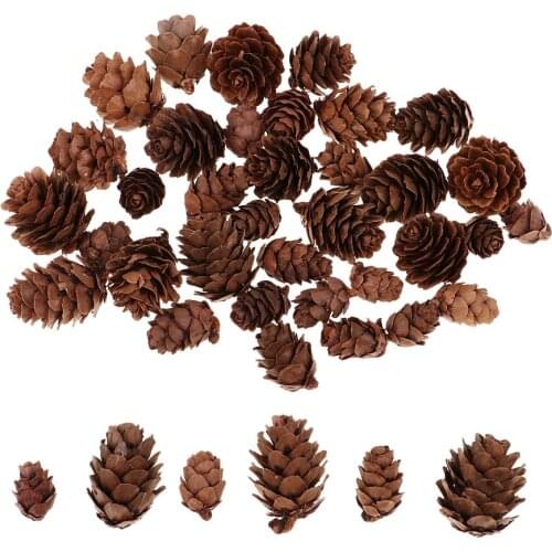 50pcs Mixed Natural Dried Pine Cones Dried Flowers for Christmas Decoration