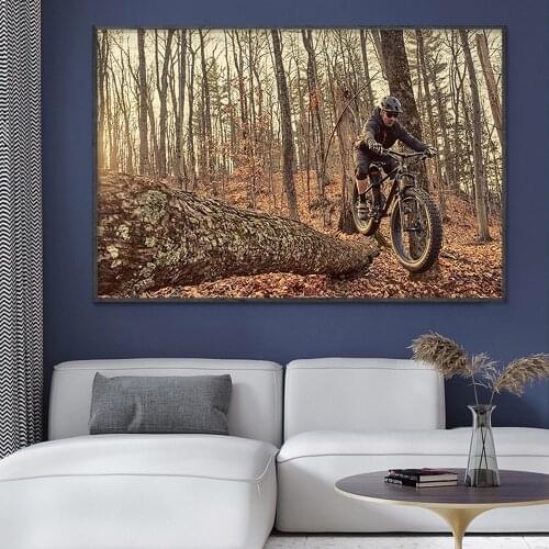 SP082 Silk Cloth Wall Poster Mountain Bike Off-road Cycling 06 Art Home Decoration Gift