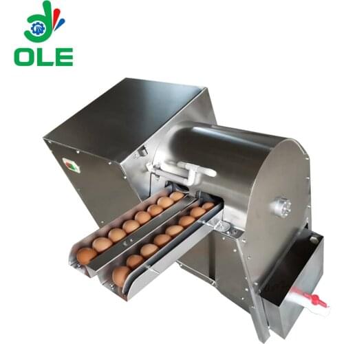 Double Rows Egg Washing Machine Brush Washing Duck Egg Cleaner Machine