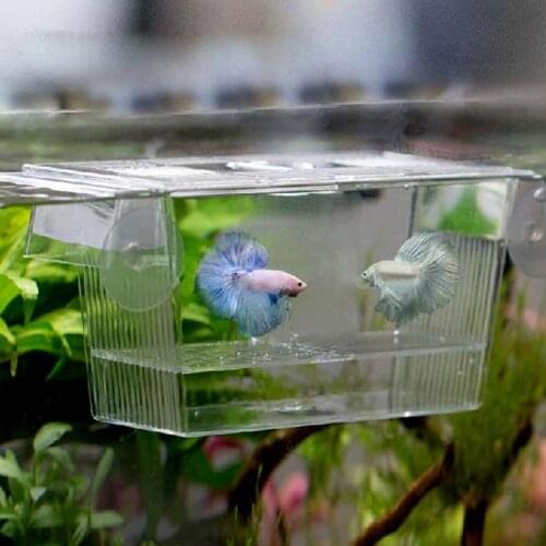 Transparent Acrylic Fish Tank Breeding Isolation Box Aquarium Hatchery Incubator Holder Fish Tank Isolation Box Incubator