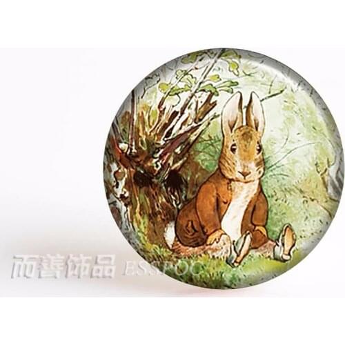 5Pcs/lot Benjamin Bunny Art Picture 25mm Glass Cabochon Easter Bunny Glass Oil Painting Glass Dome Jewelry Accessories