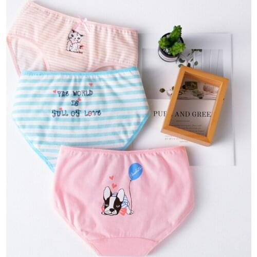 Tobani Girls Panties 40S Cotton Briefs 3D Underpants Children Boxer Lovely Cartoon Underwear Shorts for Kid 3-13 Y 3 PCS/ Pack