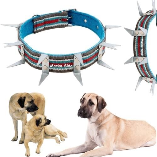 Первый питомец YOK China At AliExpress