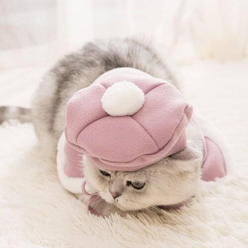 Pink beret and cape suit pet cat and dog clothes Christmas Easter clothes pet equipment comfortable fabric cute pet suit