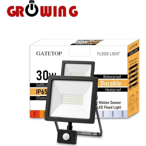 Led Floodlight 30w Motion Sensor Induction Style Ip65 Cold White Light 6000k Human Body Induction Water Proof Lamp