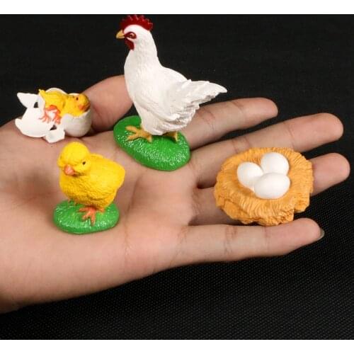 Пособия по биологии Littlelolo China At AliExpress