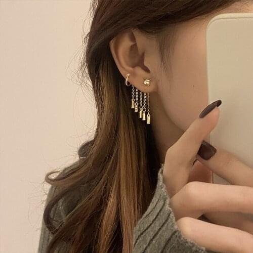 New Exaggerated Long Tassel Earrings Rear Hanging Formula Alloy Personality Earrings European And American Women Fashion Earring