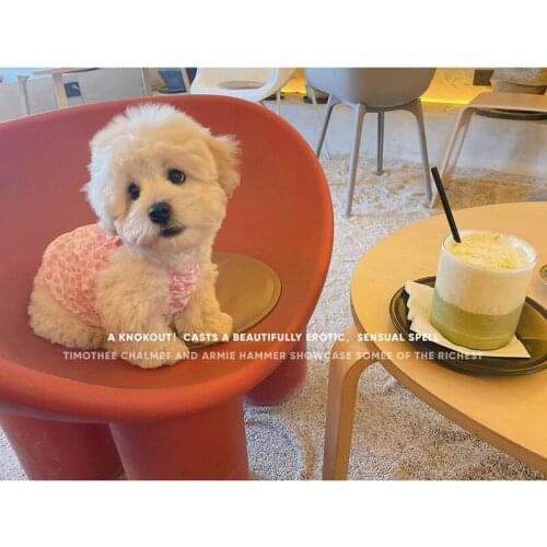 Summer Dog Dress Cotton Bow Tie Dog Clothes For Small Dogs Girl Breathable Suspender Skirt Vest Wedding Dresses Puppy Chihuahua