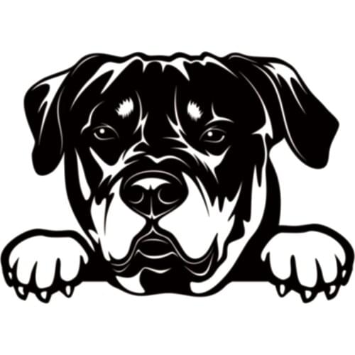 15*10.7CM Rottweiler Dog Car Stickers Personality Vinyl Decal Cartoon Animal Gog Head Car window Styling And Truck Decoration
