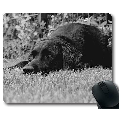 Custom Mouse Pad Funny Dog,Labrador Black And White Dog Relaxation Dreams,dogs mouse mat