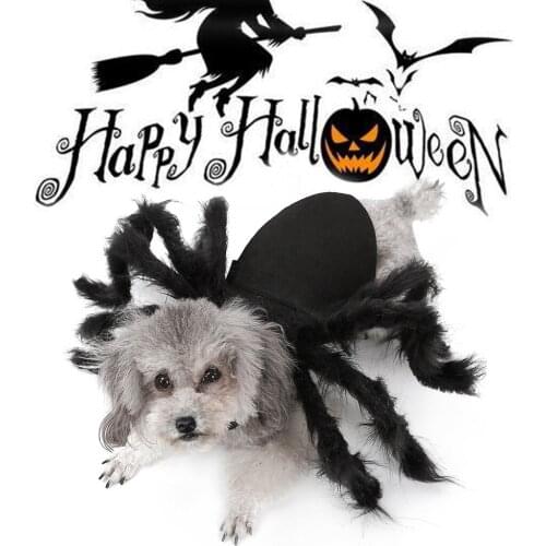 Cute Dress Cat Dog Halloween Spider Pet Dress Up Spider Wing Clothes for Puppies Cats Halloween Pet Cat Dog Costumes