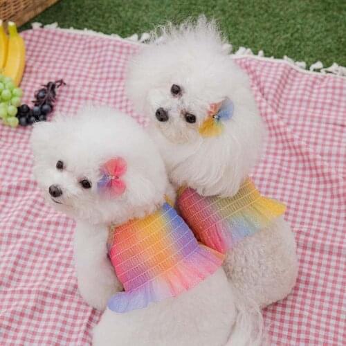 Dog clothes summer Korean rainbow gradient camisole with bichon skirt rainbow breathable pet clothes