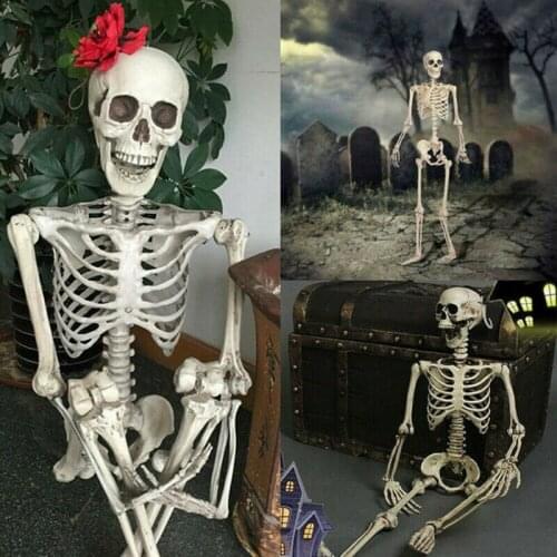 40cm Poseable Full Life Size Human Skeleton Halloween Decoration Party Prop New