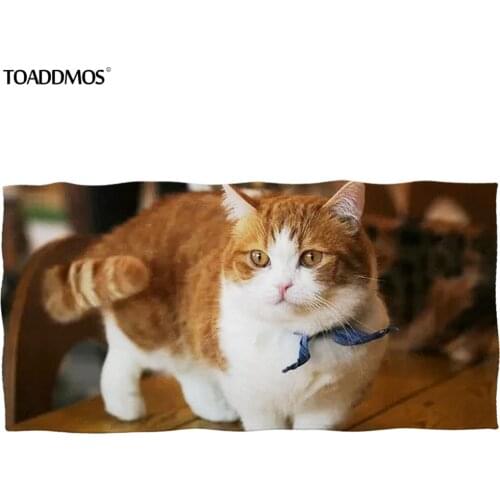 TOADDMOS Cute Funny Cat Design Bath Towel Soft Beach Towel Premium Washcloth Facecloth Hair Quick Dry Towel for Kid Adult toalla
