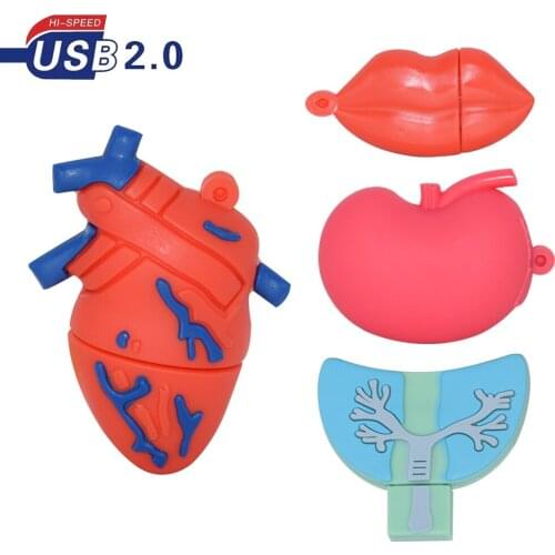Cartoon Human Organs USB Flash Drive Heart Brain Doctor Pendrive 4GB 8G 16GB 32GB 64GB 128G 256G 2.0 Memoria Usb Stick Pen Drive