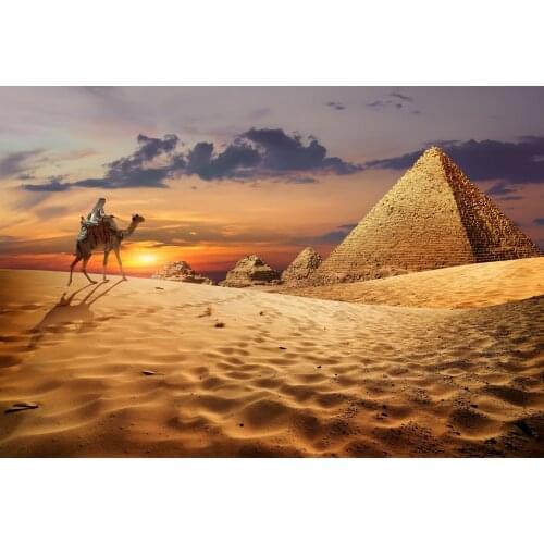 JMINE Div 5D Camel Pyramids Desert Egyptian Sunset egypt Full Diamond Painting kits art Scenic 3D paint by diamonds