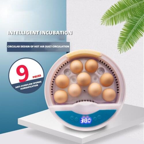 Best Egg Incubator Farm Hatcher Brooder Machine 9egg Led Temperature Humidity Control Bird Quail Chicken Incubator Automatic#db4