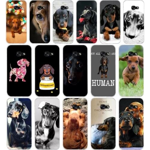 145SD Dachshund Teckel DackelSoft Silicone Tpu Cover phone Case for Samsung a3 2016 a5 2017 a6 plus a7 a8 a9 star lite s 6 7 8 9