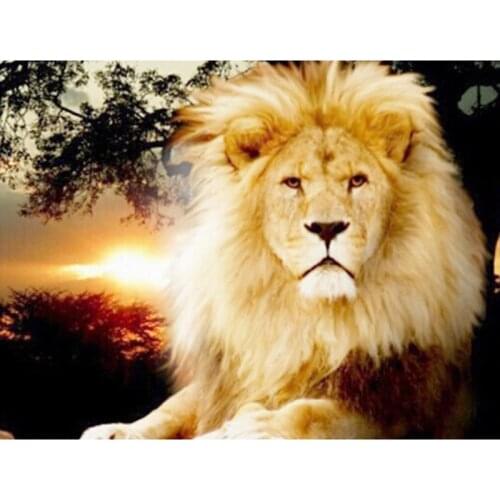 H1750 daimond painting,diamond painting accessories,full,diamond embroidery Lion