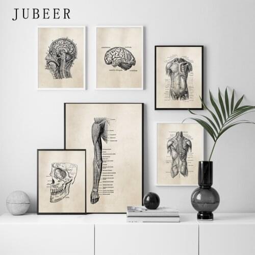 Human Anatomy Artwork Medical Wall Picture Muscle Skeleton Vintage Poster Nordic Canvas Print Education Painting Modern Decor