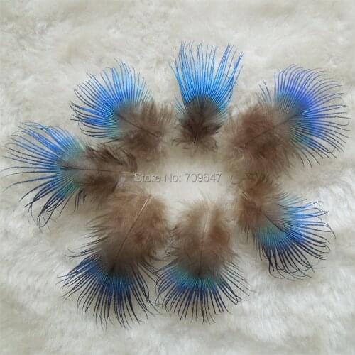 Павлин !500pcs/Lot Approx 2-4cm Vibrant Iridescent BLUE BODY PLUMAGE FEATHERS,Small loose feathers for Jewelry Making