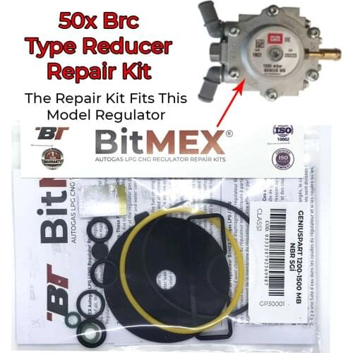 50x Brc Type LPG CNG GPL Reducer Repair Kit Brc Vaporizer Diaphragm Seal Set