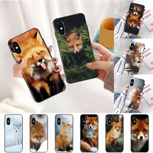 Animal Raccoon Fox Phone Case for iPhone 11 12 pro MINI XS MAX 8 7 6 6S Plus X 5S SE 2020 XR