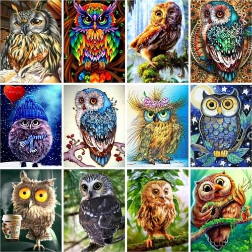 CraftArtGo 5D DIY Diamond Embroidery owl Full Square Round Rhinestone Mosaic Painting Cross Stitch Flowers Diamond Kit
