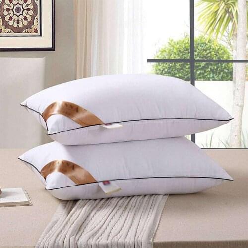 45 Couple Pillow White Oreiller 74cm*48cm Pair Slow Rebound Pressure Pillow BE45002