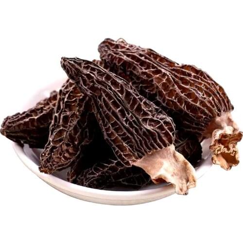 Premium Dried Wild Morel Mushrooms