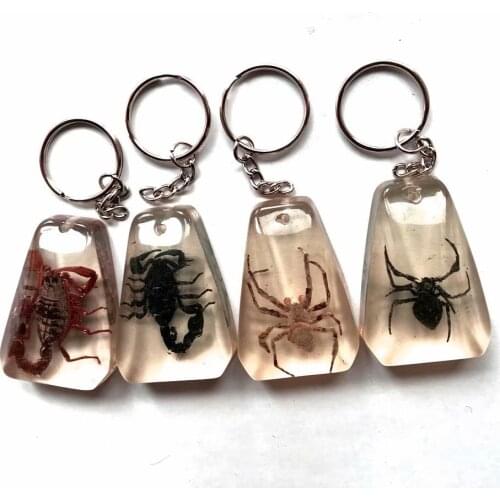 YQTDMY 8 pcs fashion big size scorpion spider design charming keychain