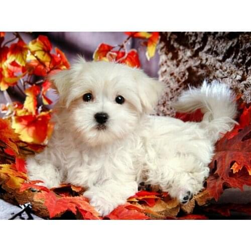 5D DIY Animal Diamond Embroidery Full Square Diamond Painting Dog Cross Stitch Kit Handmade Gift Home Decoration