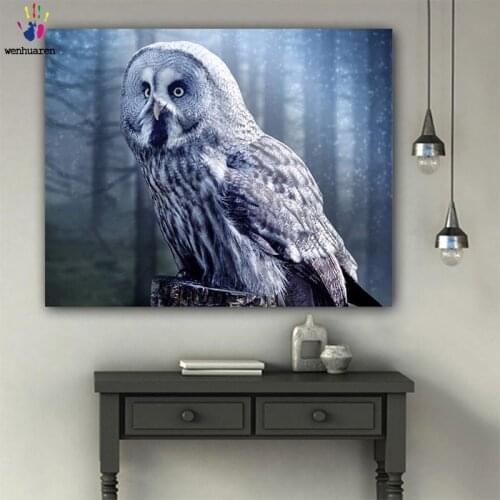 DIY colorings pictures by numbers with colors The owl picture drawing painting by numbers framed Home
