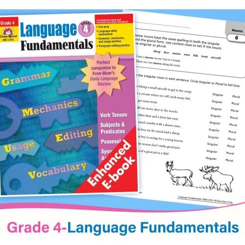 Children 4st Grade Language Arts and Grammar Language Learning English kids Painting Exercise books Learning words