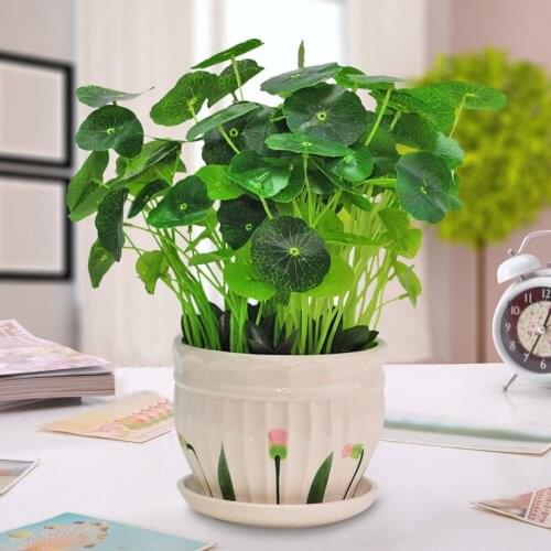 Modern Ceramic Vase Simulation Green Plant Flower Home Livingroom Desktop Figurines Decoration Dining Table Furnishing Crafts