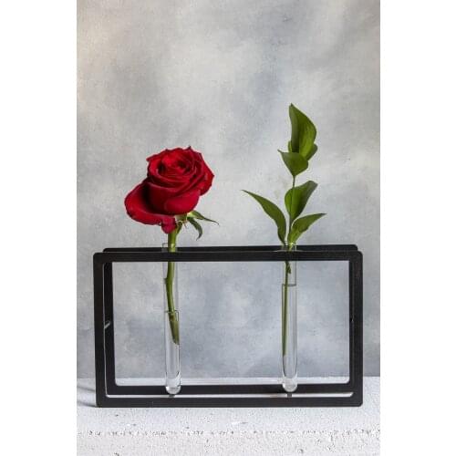 Decorative Metal Vase Oval 2 Eyes Plant Flower Holder Bottle Type Modern Home Decoration 2 Different Color Stylish Quality Different style Fashion