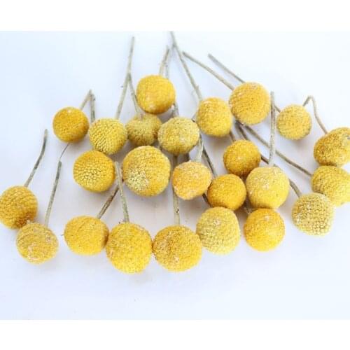 Hot-Selling 20pcs Gypsophila Eucalyptus Golden Ball Real Preserved Dried Flower For Home Bookroom Wedding Christmas Decoration