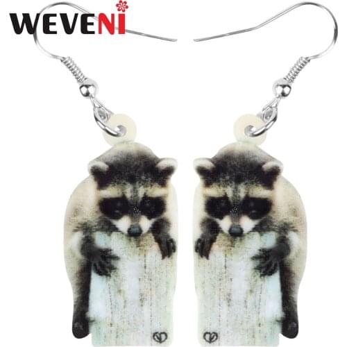 WEVENI Acrylic Brown Northern Raccoon Earrings Long Lovely Wild Animal Dangle Drop Jewelry For Women Kids Trendy Gift Accessory