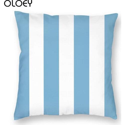 Argentina Pattern Square Pillow Case Throw Pillow Argentine Flag Funny Pillowcase