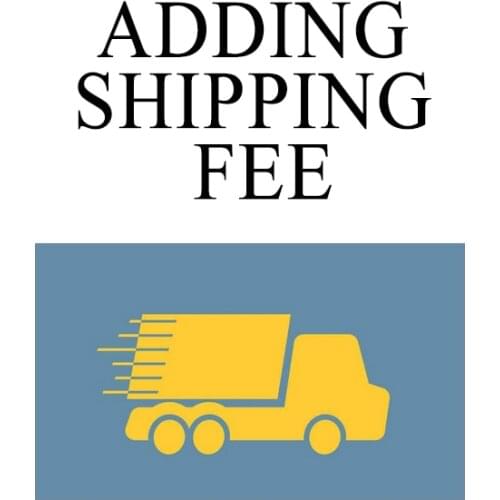 Extra Fee /cost just for the balance of your order/shipping cost/ remote area fee/Resend