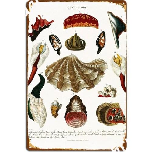 Vintage British Botanical Illustration Conchology Metal Sign Wall Pub Custom Kitchen Garage Decoration Tin Sign Poster