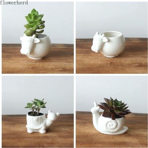Ceramic Succulent Flower Pots White Porcelain Succulent Plants Flower Pots Plant Pots Succulents Pot Gift Ideas Ceramic Planter
